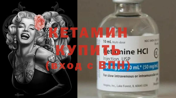 гашик Дмитров