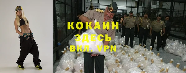 дурь Дмитровск