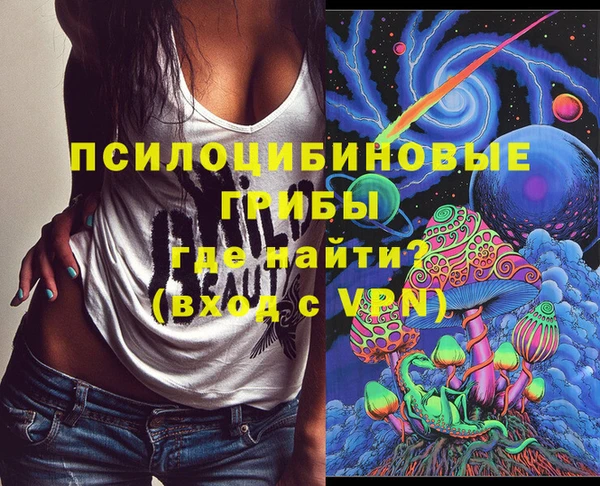 дурь Дмитровск