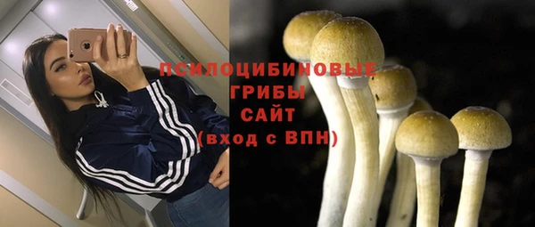 дурь Дмитровск