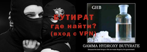 гашик Дмитров