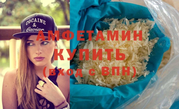 гашик Дмитров