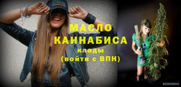 гашик Дмитров