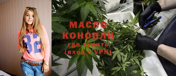гашик Дмитров