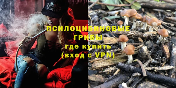 дурь Дмитровск