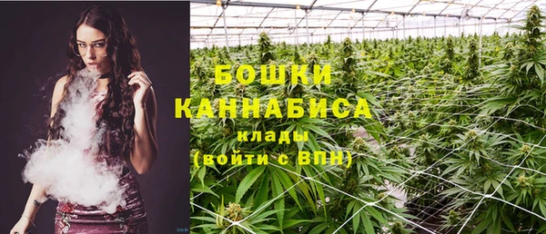 гашик Дмитров
