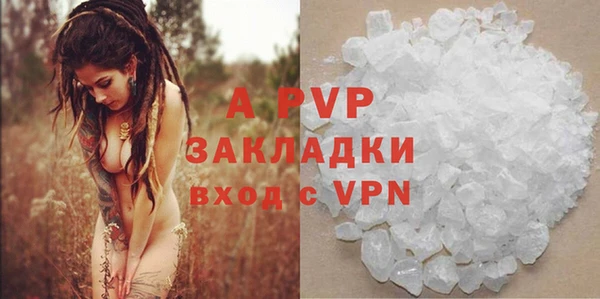 гашик Дмитров
